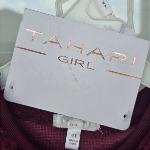 Tahari 2 Piece Set Outfit Sweater & Pants Girls 4T Green Red New - Picture 9 of 14